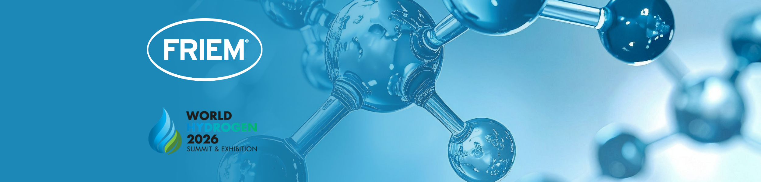 WHS 2026 img evidenza 1