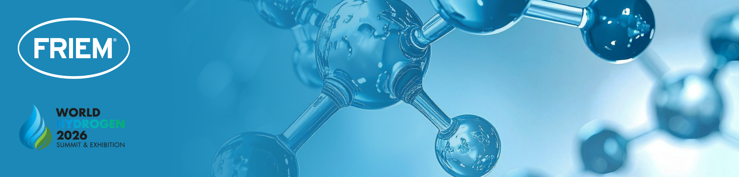 WHS 2026 img evidenza